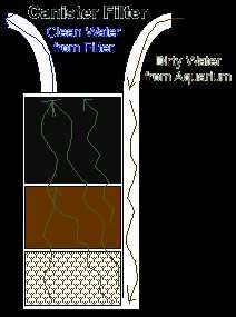 Understanding the Canister Filter Setup: Essential Diagram and Steps