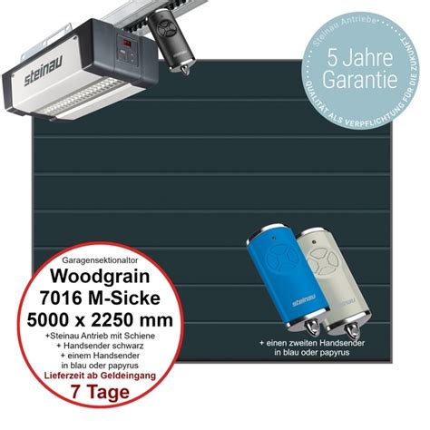 Sektionaltor Steinau Basic Woodgrain 5000 X 2250 Mm In RAL 7016 M Sicke