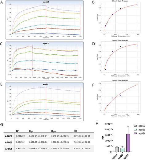 Apolipoprotein E Isoforms Differentially Regulate Matrix