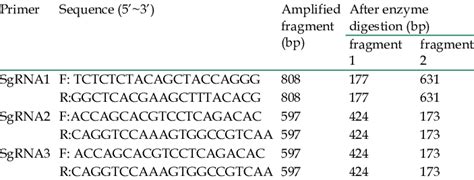 Pcr Primers For The Surveyor Assay Download Scientific Diagram