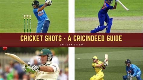 Cricketing Shots A Perfect Guide Cricindeed