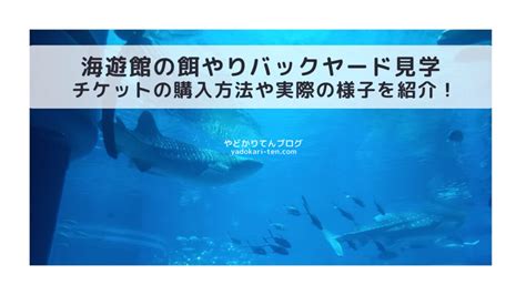 海遊館のジンベエザメ餌やり見学チケット購入方法や体験した感想口コミレビュー子連れ旅行ブログ