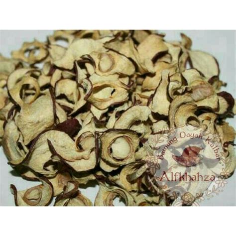 Jual Buah Mahkota Dewa Kering Rajang Shopee Indonesia