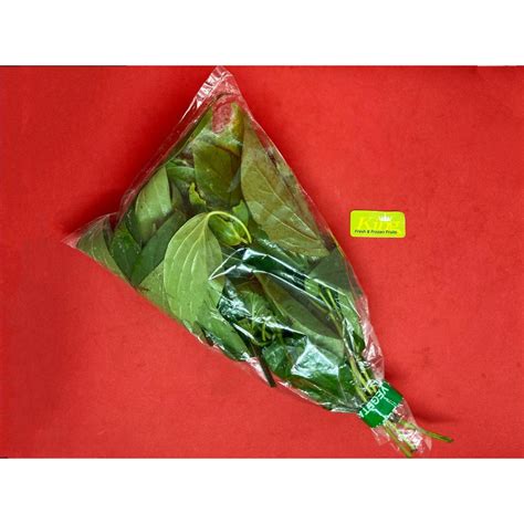 Jual Daun Sirih Daun Sirih Segar Daun Sirih Fresh Shopee Indonesia