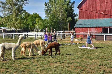 Shed Chetwyn Farms Hillier 2020 All You Need To Know Before You Go With Photos Tripadvisor