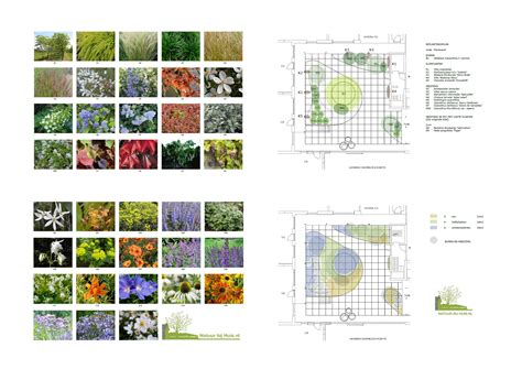 Kant En Klaar Beplantingsplan Border Pin Op Tuin Stran1964 Poppe