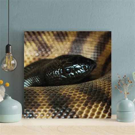 Latitude Run® Close Up Photography Of Brown Snake 1 Wrapped Canvas