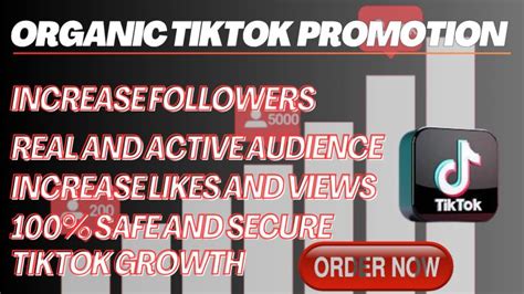 I Will Grow And Promote Your Tiktok Account Organically For Fast And Organic Growth Fiverr