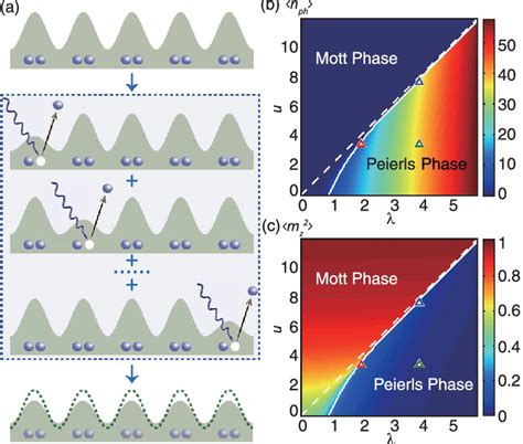 (a) Diagram showing the photoexcitation process from the Peierls ground ...