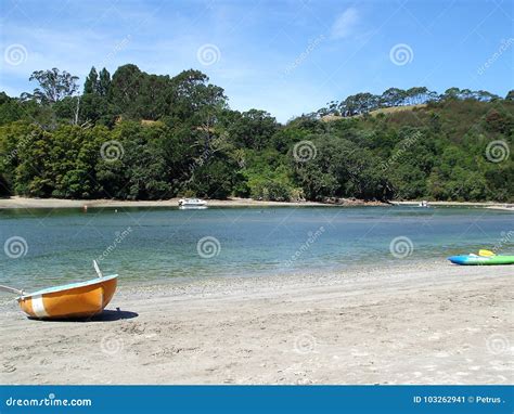 Cooks Beach, New Zealand stock image. Image of purangi - 103262941