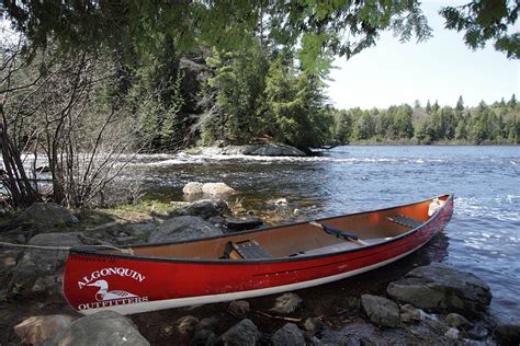 Custom Guided Canoe Trips In Algonquin Park Algonquin Outfitters