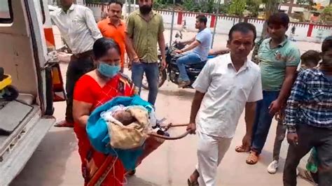 Mp News Newborn Found Crying In Roadside Bushes In Satna Ants Were Biting On The Body Amar