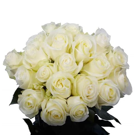 Globalrose 50 Stems Fresh Cut White Roses 1850500096794 The Home Depot