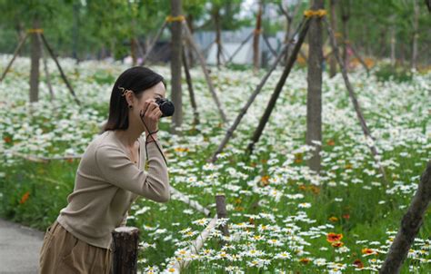 郑州版“莫奈花园”免费开放，等你走入画中 新华网河南频道