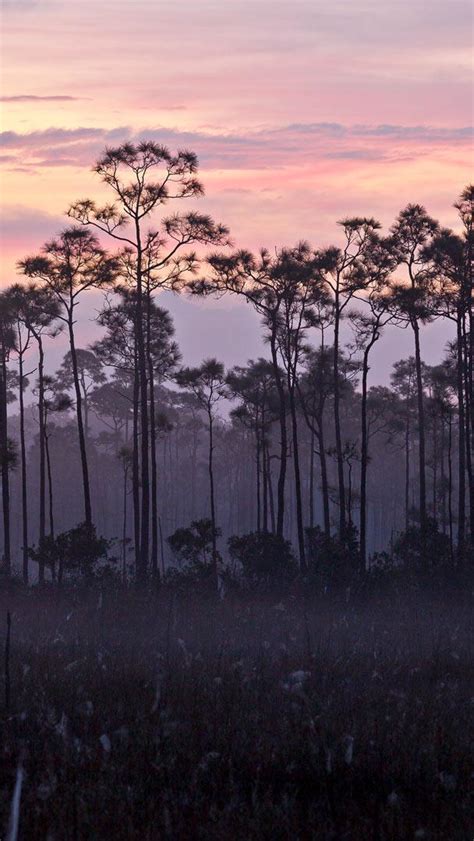 Bing HD Wallpaper May 30 2024 Everglades National Park Marks 90 Years