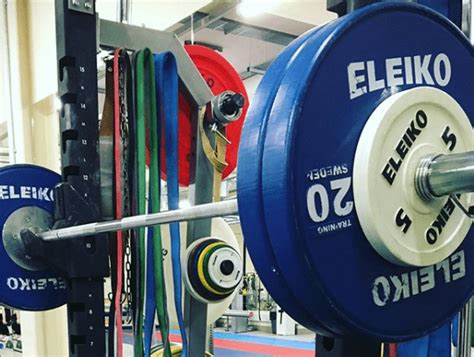 The Best Bumper Plates For Garage Gym Reviews