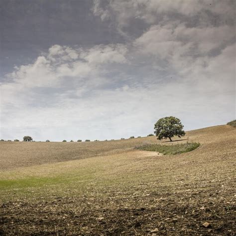 Paisaje Natural De La Campi A Cordobesa Foto Premium