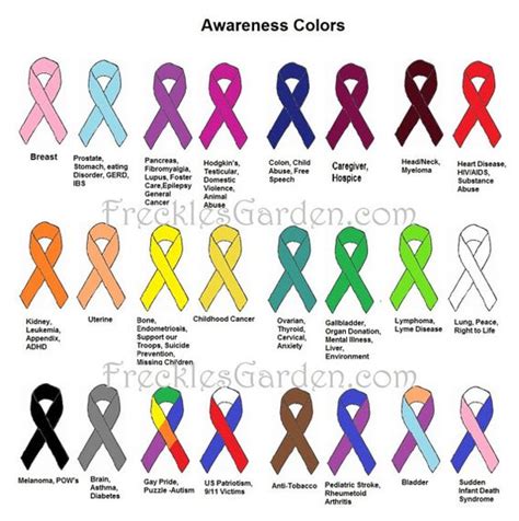 Awareness Ribbon Colors And Meanings Freckles Garden Rock Cancer