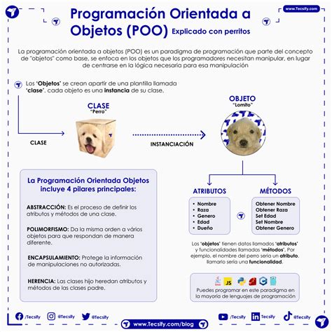 Que es la Programación Orientada a Objetos Tecsify Blog