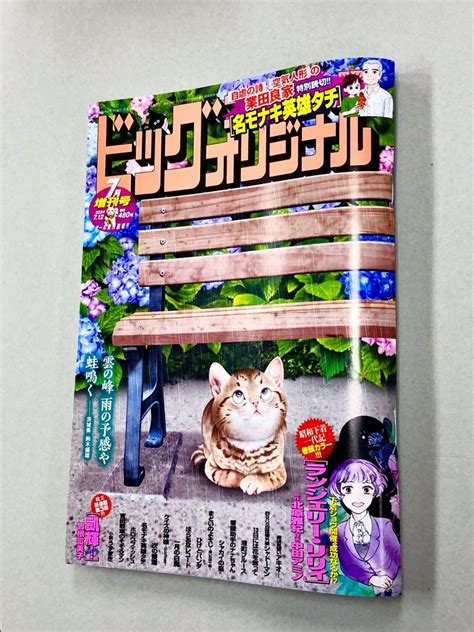 最新号！雑誌「ビッグコミックオリジナル増刊号 2024年7月号7 12」 By メルカリ