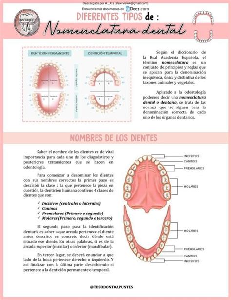 Nomenclaturas Dentales A X S UDocz