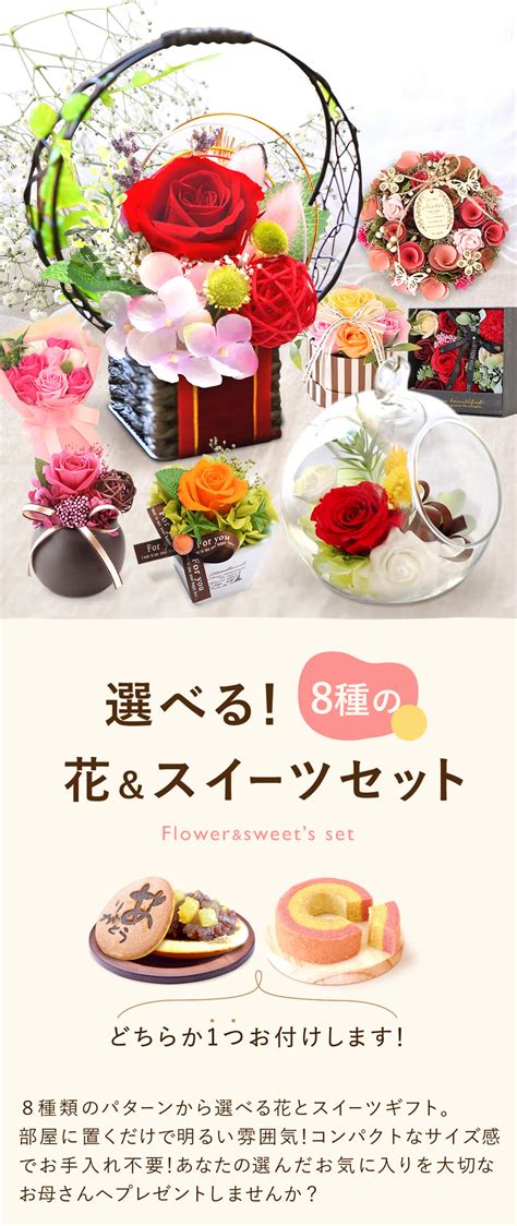 選べる8種の花＆スイーツセット 【母の日 2024 ギフト プレゼント 贈り物 送料無料 スイーツ お菓子 和菓子 洋菓子 どら焼き どらやき