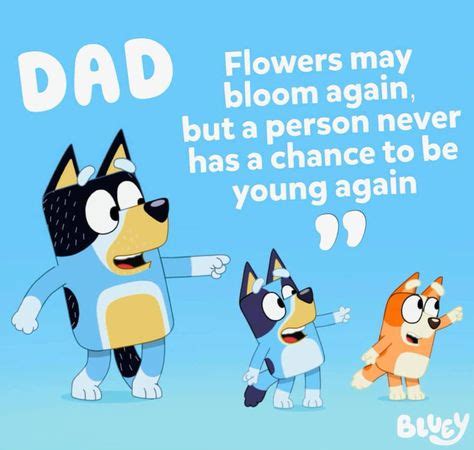 25 Bluey ideas | abc for kids, cartoon, abc party