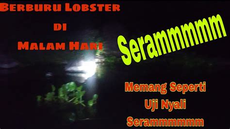 Berburu Lobster Di Malam Hari Serasa Seperti Uji Nyali Pokoknya