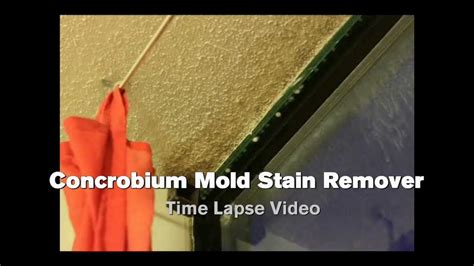 Textured Ceiling Time Lapse Concrobium Mold Stain Remover YouTube