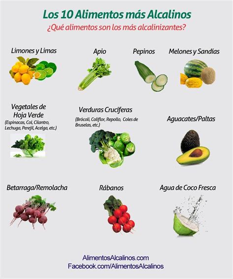 10 Alimentos Más Alcalinos Alimentos Alcalinos Alimentos Acidos Y