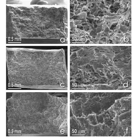 Sem Micrographs Showing Fracture Surfaces Of Specimens In The