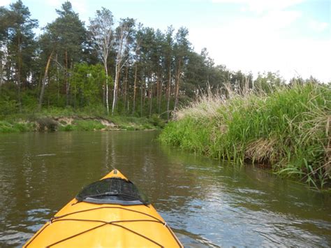 Sp Ywy Kajakowe Rzekami Narewka Narew Supra L Bia Owie A Net Pl