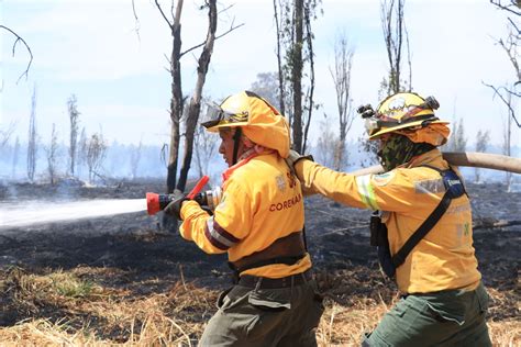 Combaten Brigadistas Incendios Forestales