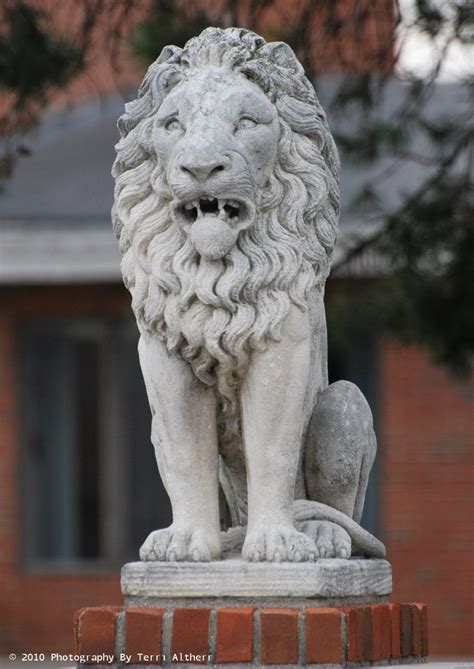 Concrete Lion In Kokomo Indiana Usa Sculptures And Statues Lion