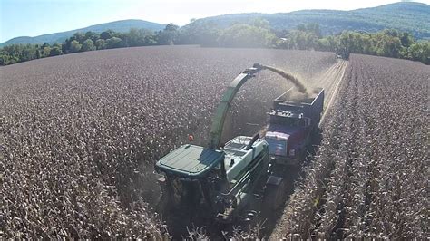 Corn Silage Harvest Youtube