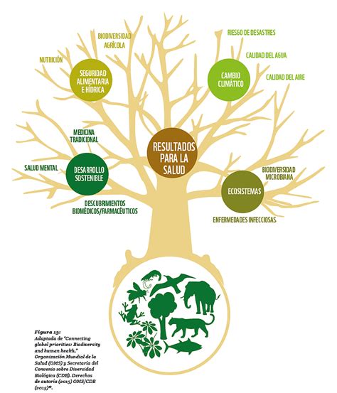 Informe Planeta Vivo Wwf