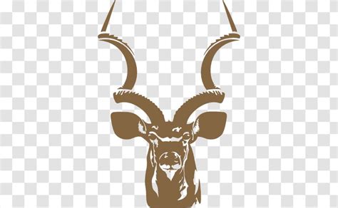 Kudu Horns Vector