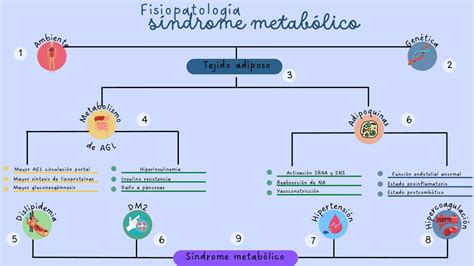 Resúmenes de Síndrome metabólico Descarga apuntes de Síndrome metabólico