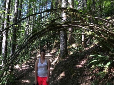 Love Haight Road Trip Stop Terwilliger Hot Springs