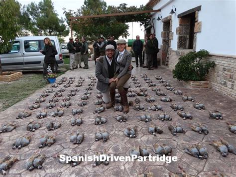 Driven Partridge Shooting In Spain Gallery Spanish Driven Partridge