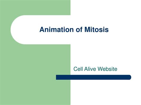 PPT - Mitosis and Meiosis PowerPoint Presentation, free download - ID ...