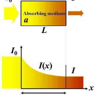 Absorption Spectra Of The Main Tissue Constituents Deoxy Hemoglobin