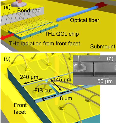 Continuous Tuning Of Two Section Single Mode Terahertz Quantum Cascade