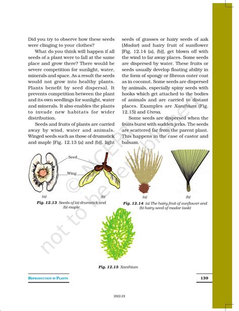 Ncert Book For Class 7 Science Chapter 12 Reproduction In Plants