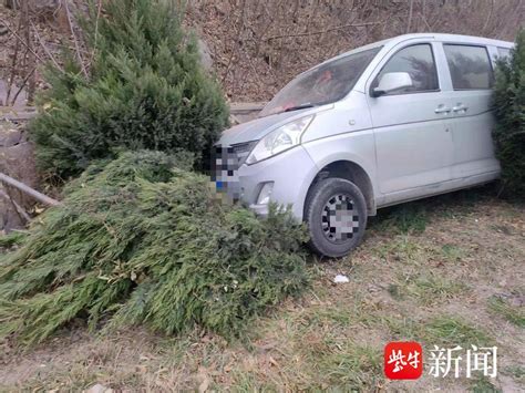 为避让横穿马路的电动车，司机猛打方向车辆冲入排水沟事故路口机动车