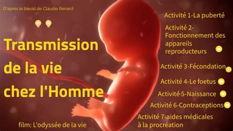 Transmission De La Vie Chez L Homme