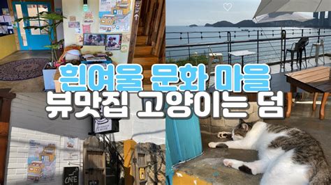 4k 흰여울문화마을 추천 카페 뷰맛집에 고양이는 덤이에요 레이지 캣 Youtube