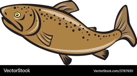 Brown trout fish side cartoon Royalty Free Vector Image