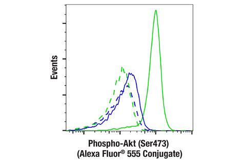 Phospho Akt Ser473 D9e Xp® Rabbit Mab Alexa Fluor® 555 Conjugate