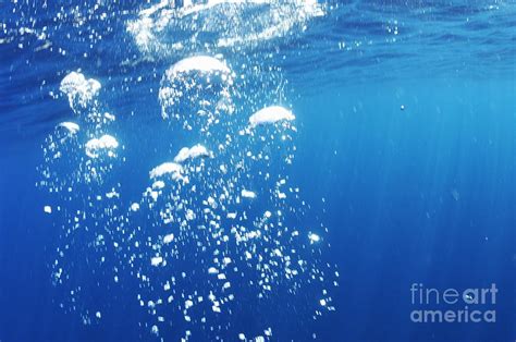 Scuba Divers Bubbles Rising Up To Surface Photograph By Sami Sarkis